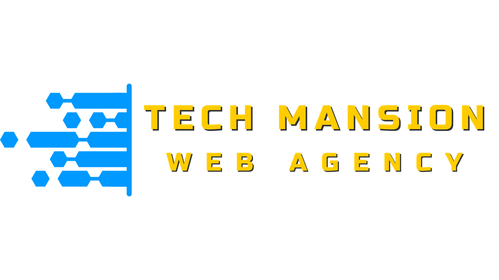 Tech Mansion Web Agency Logo